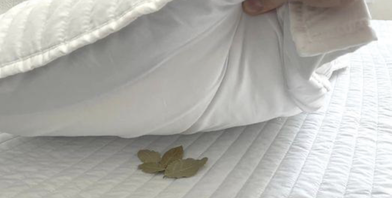 COLOCA HOJAS DE LAUREL BAJO LA ALMOHADA Y OBSERVA LO QUE OCURRE DURANTE